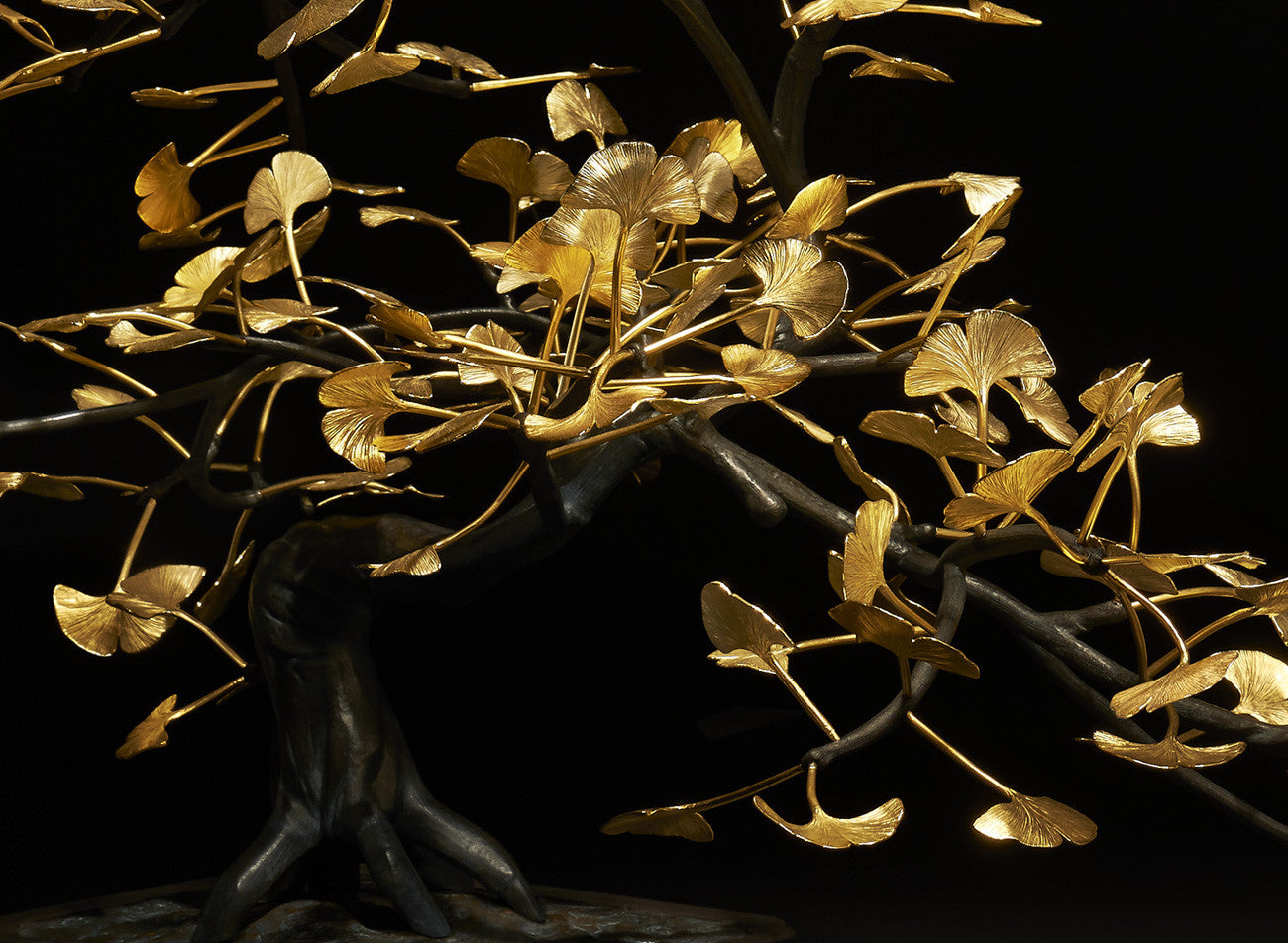 BONSAI GINKO BILOBA. Shop and Give Back to the Jane Goodall Institute. - [Epicurus Life]