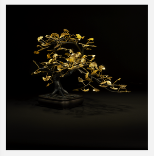 ginkgo biloba bonsai tree for sale Ginko Biloba Bonsai. Give Back To The Jane Goudall Institute! – EPICURUS ™